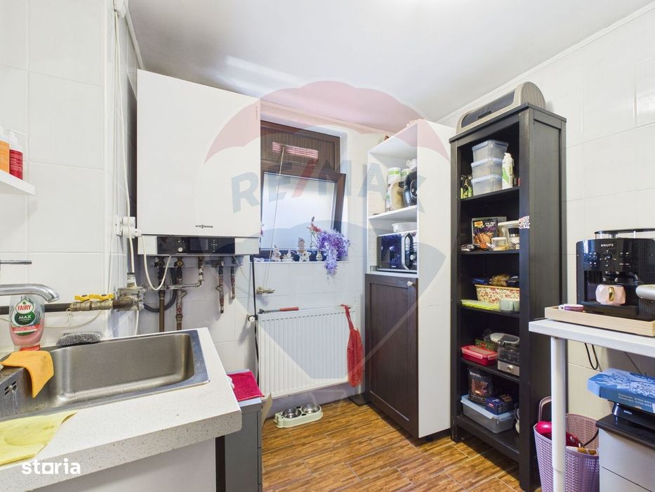 Apartament cu terasă într-o vilă interbelică B-dul Primaverii