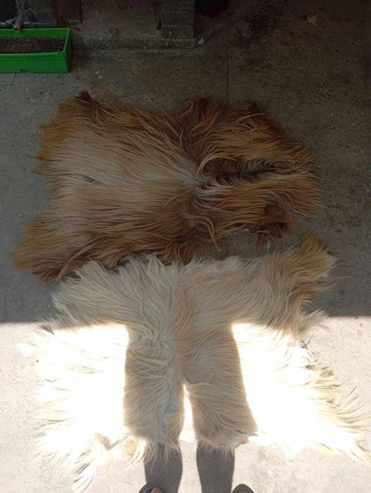 Кожи от коза