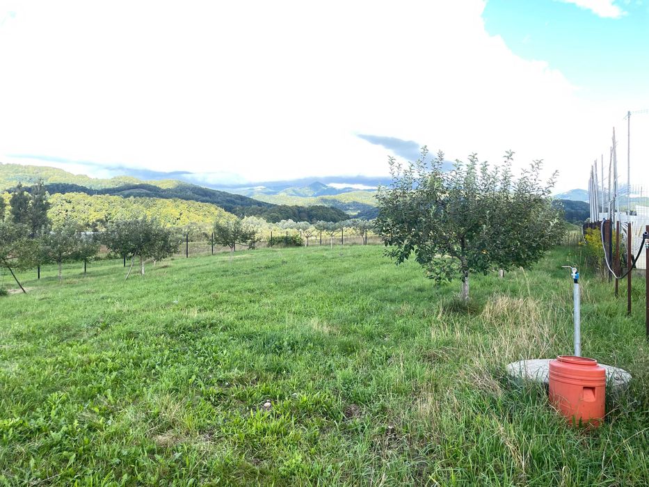 Vând teren ~36 Ari  Vișeu de Jos zona Șes – acces direct DN18