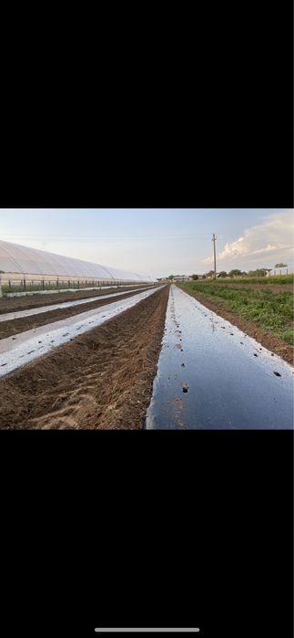 Mașină întins folie,picurare și marcator plantare
