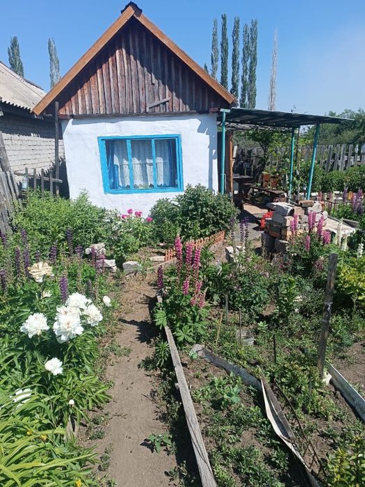 Продам дачу сад Здоровье