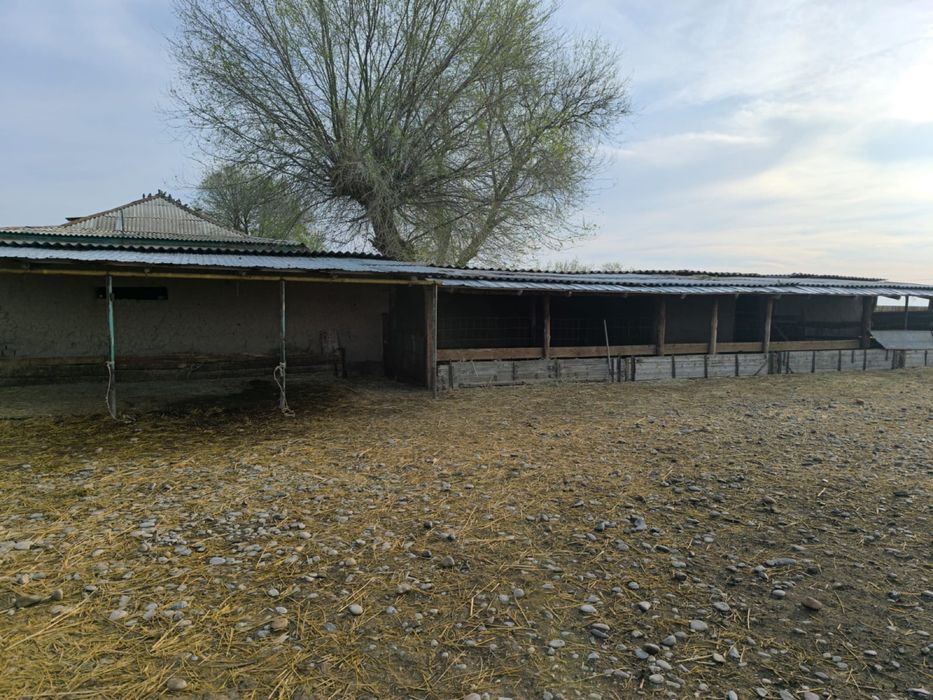 Мал шаруашылығына қолайлы үй сатылады