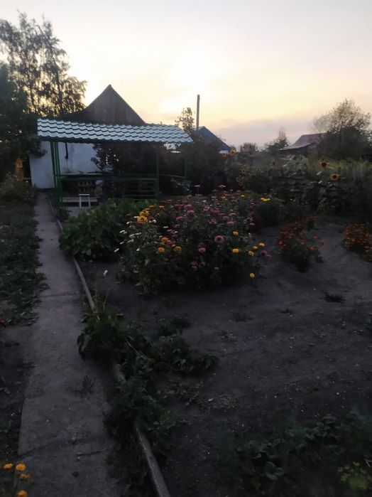 Продаю дачу в обществе Алма