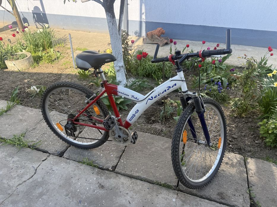 Bicicleta Mountain Bike 26 “