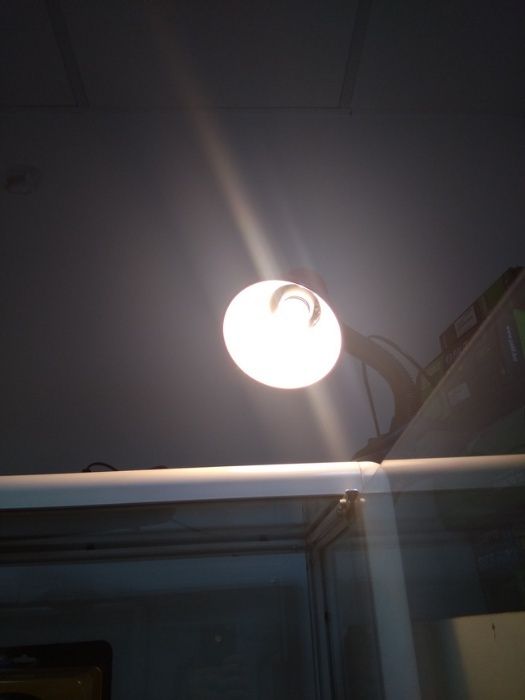 Лампы светодиодные LED