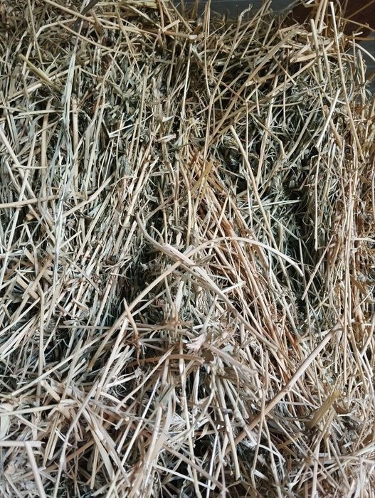 Beda pres 1metr 90 sm