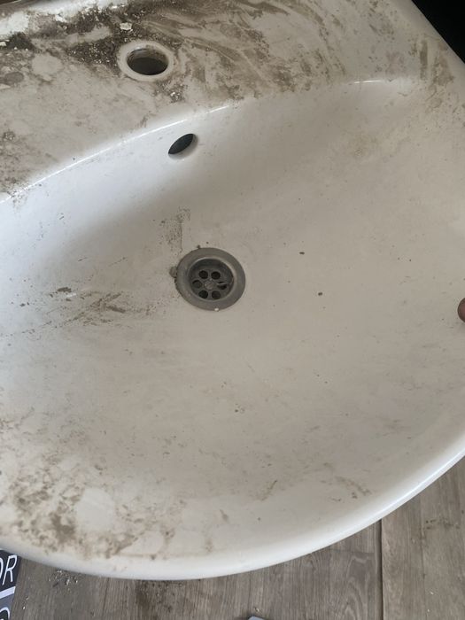 Раковина Тюльпан