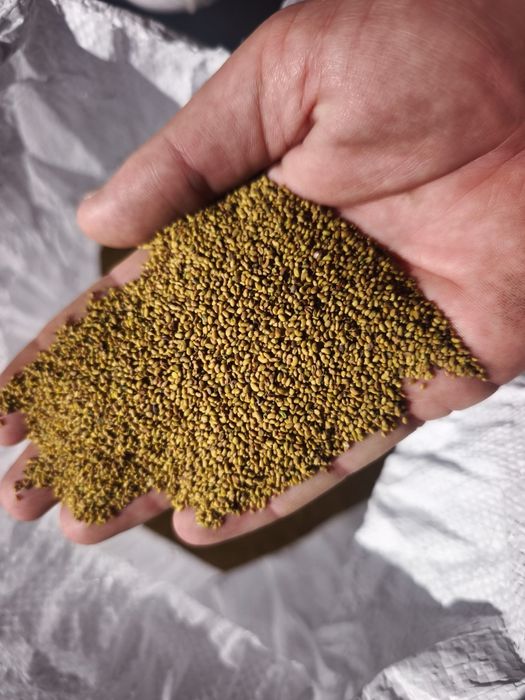 ЛЮЦЕРНОВО СЕМЕ българско и внод