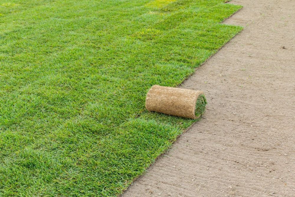 Ландшафтный дизайн ва газон урнатиш