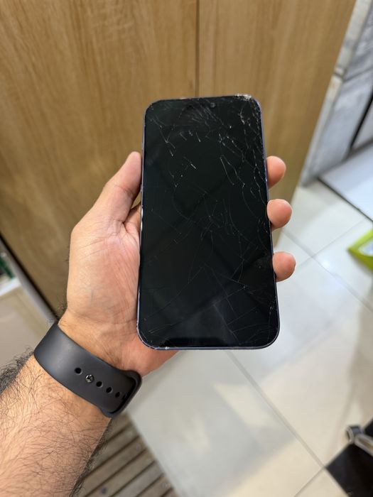 17 max 256 blue dual sim