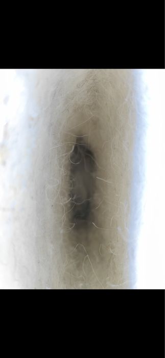 Новые валенки самокатки