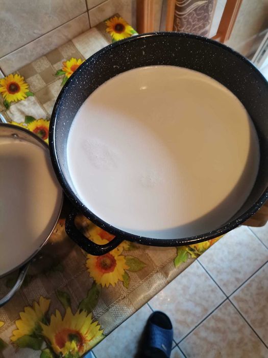 Branza si lapte de capra !