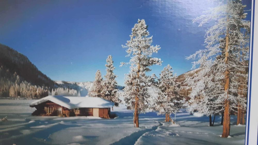 Пъзели от 1 000 части