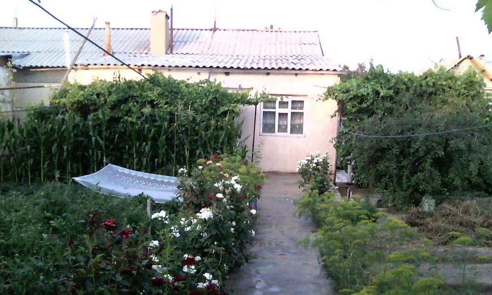 Продается дом с. Мырзатай