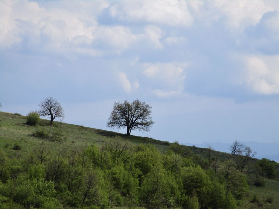 Дигитален фотоапарат Canon IXUS 185