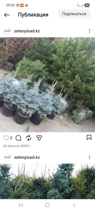 Ландшафтный дизайн