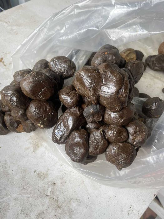 Păstură cruda / uscata, polen crud /uscat, atat en-gros si en-detail