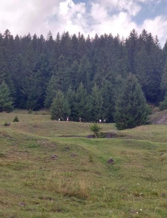 Teren la munte, Brosteni, Suceava