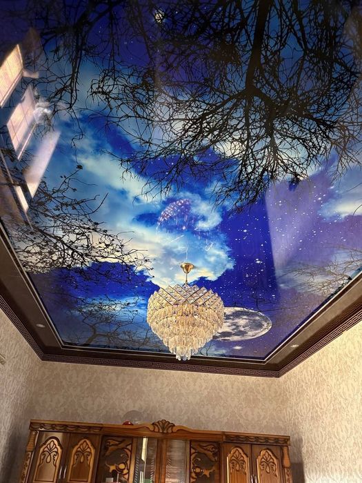 Professional Natyajnoy Patalok | Натяжные потолки