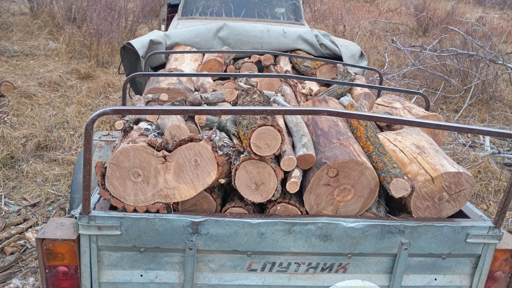 Продам сухие дрова