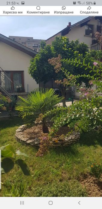 Продава се Къща в Дупница - 170 кв.м за 971 €/кв.м - Снимка #10