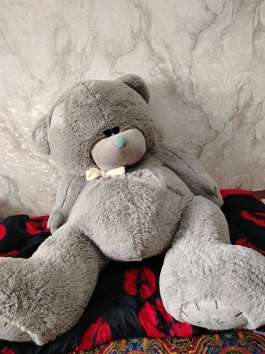 Катта тедй айик сотилади