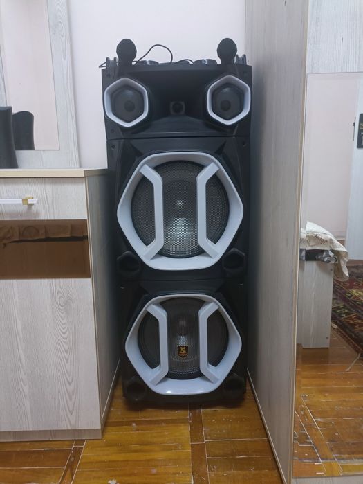 Караоке студия колонка