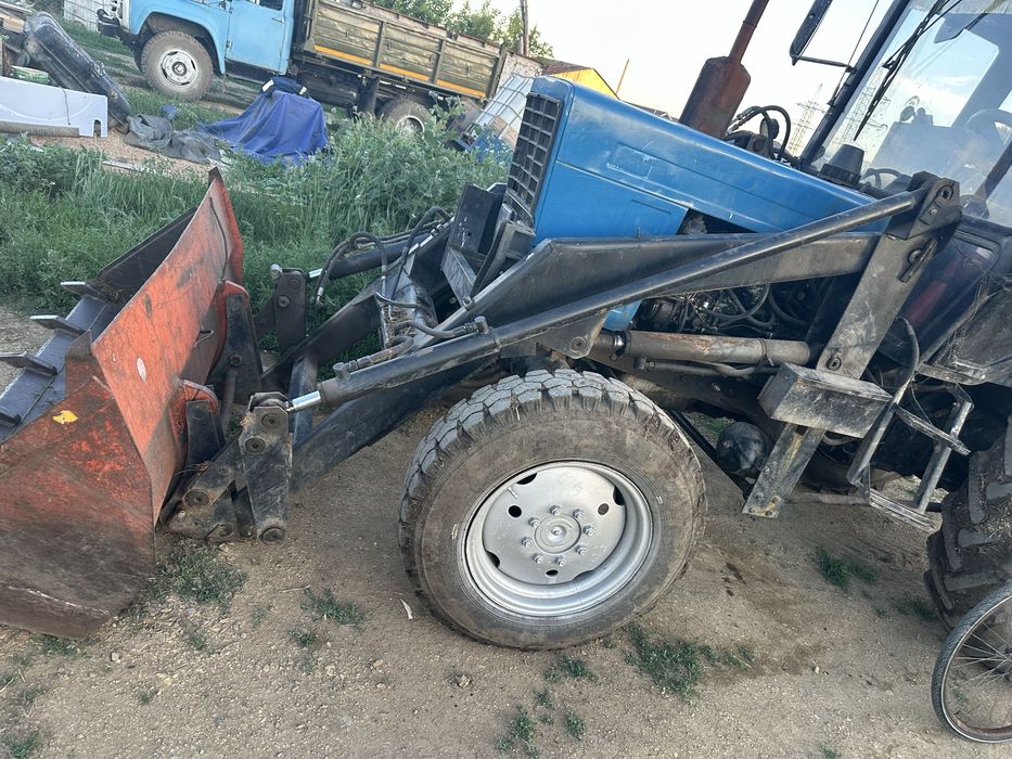Продам кун от беларуса