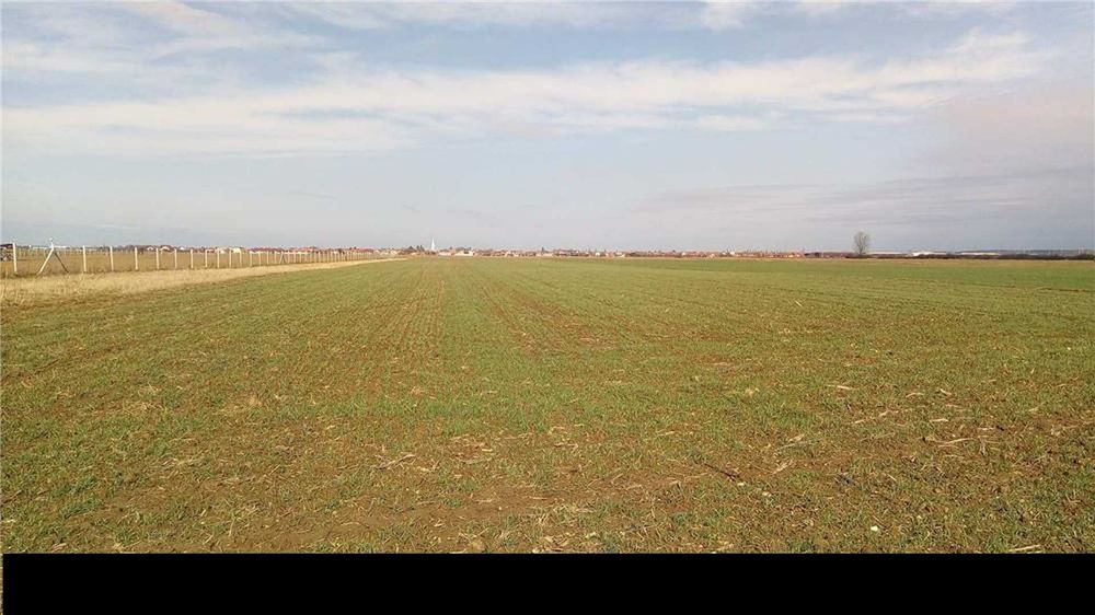 Teren agricol extravilan de vânzare – Borș / Sîntion, județul Bihor