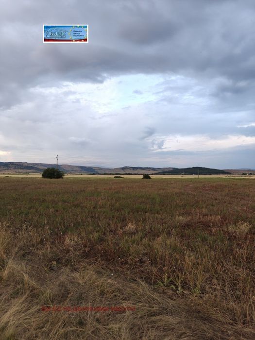 Продажба Парцел гр. Радомир - с. Червена могила 6300 м2