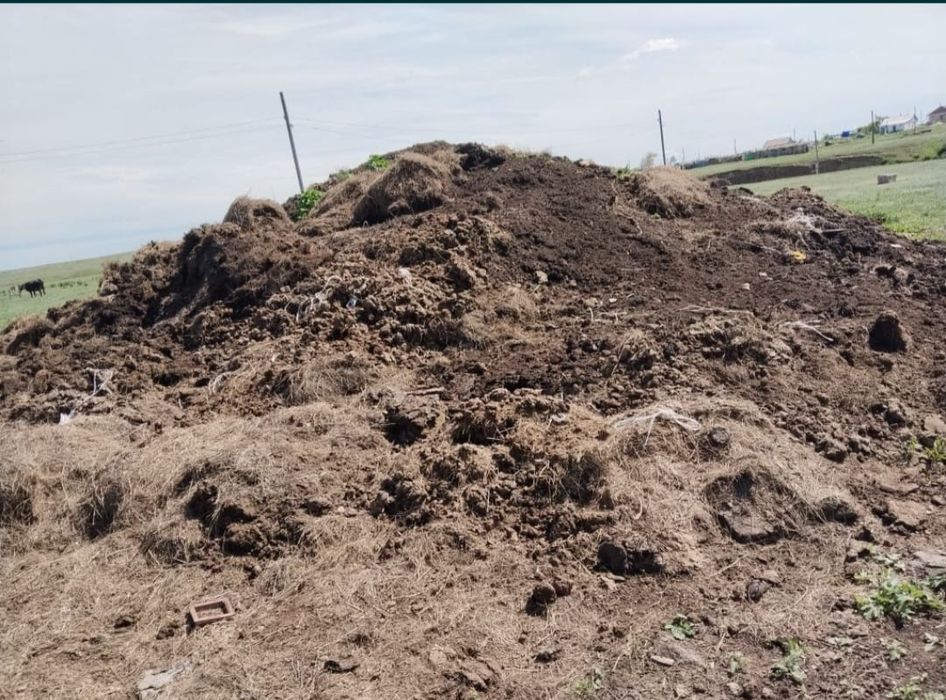 Грунт, ПГС, галька+ вывоз мусора всё в одном месте