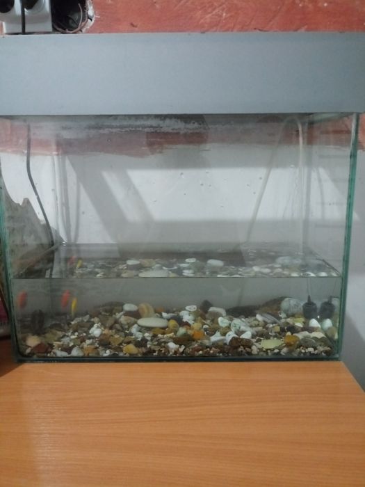 Продам аквариум с рыбками