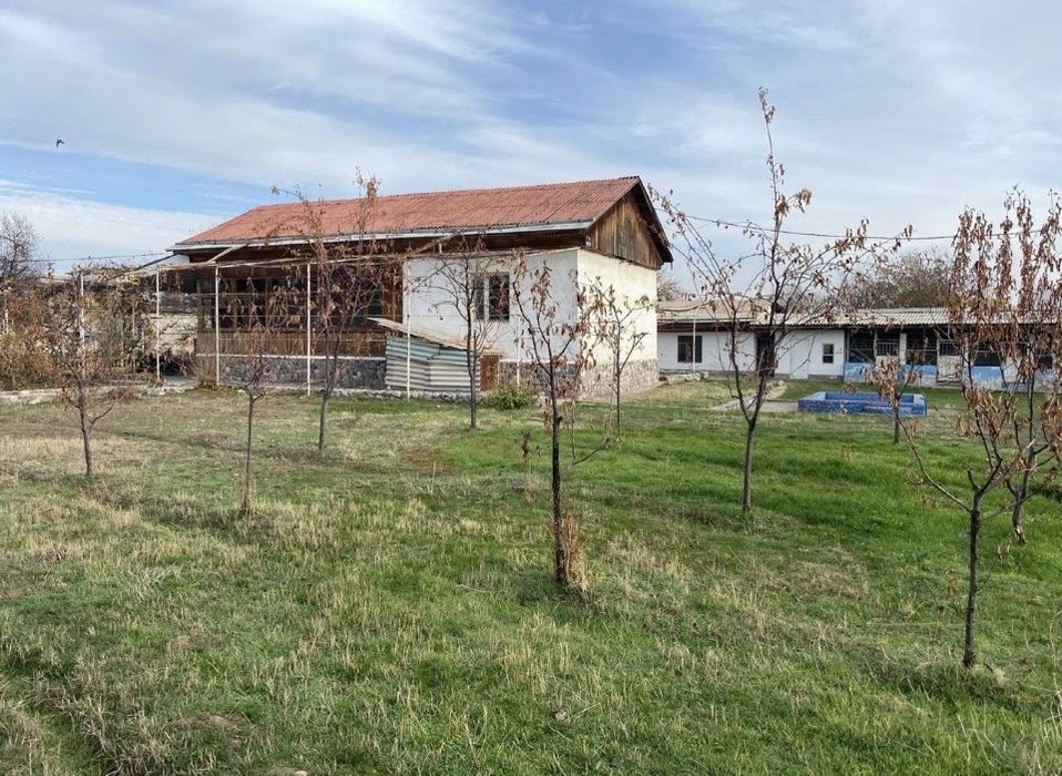 "Yangi O'zbekiston" 50 сот.