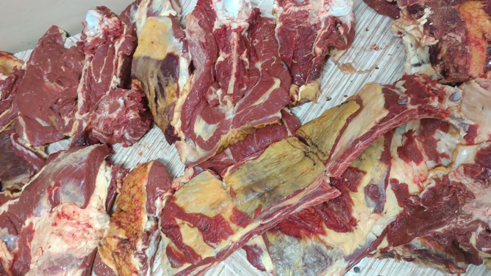 Мясо Из Тургая говядины,