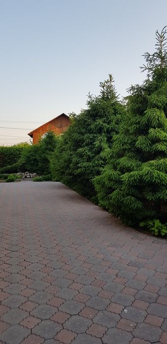 Продаётся коттедж .Центр города.