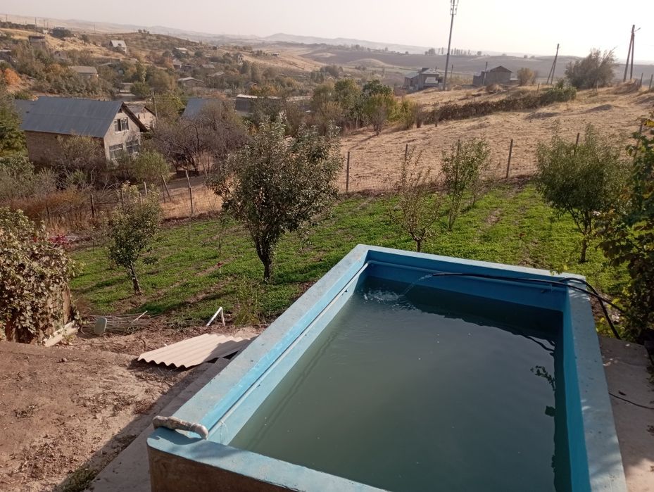 Dacha sotiladi 12 soʻtiq