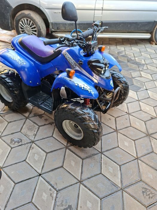 ATV Copii MZ DX 50