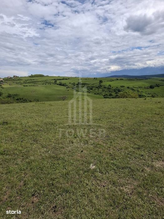 De vanzare, teren 11.500 mp – Dealul Dăii,  Vedere panoramică spre mun