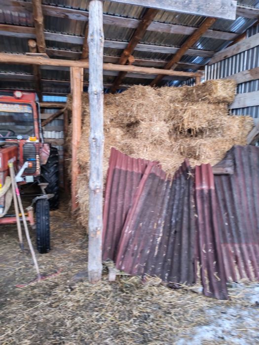 Baloți de paie de vânzare