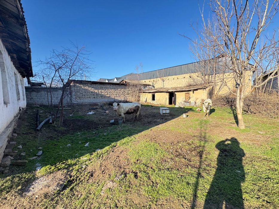 Sirdaryo shahar Dostlik mahallasida 9 soth hovli sotiladi