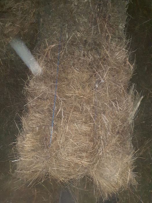 Продам сено луговой хорошое