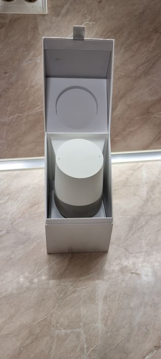 gogle home speaker