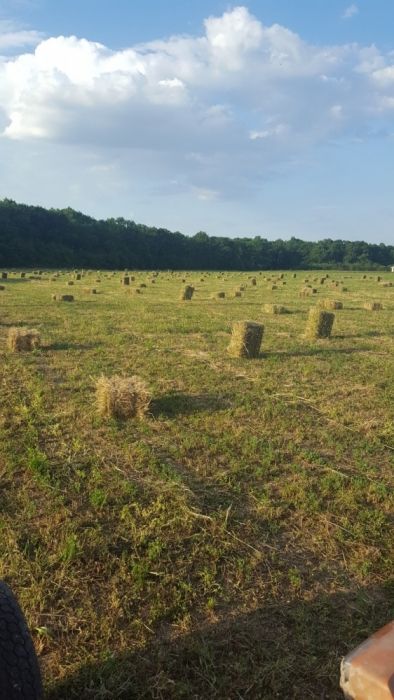 Baloti paie fan lucerna- Asiguram transport