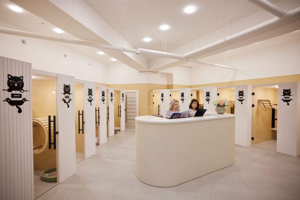 Гостиница для кошек Happy Mur.