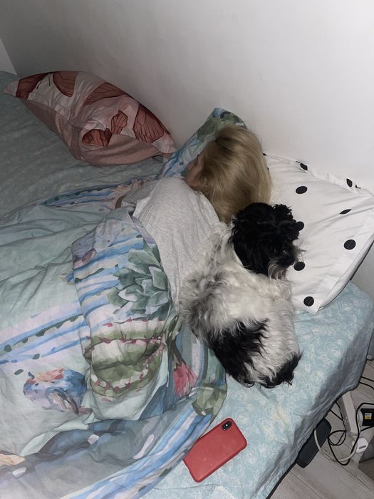 Air Pods Pro 2 Generation Negociabil folosit