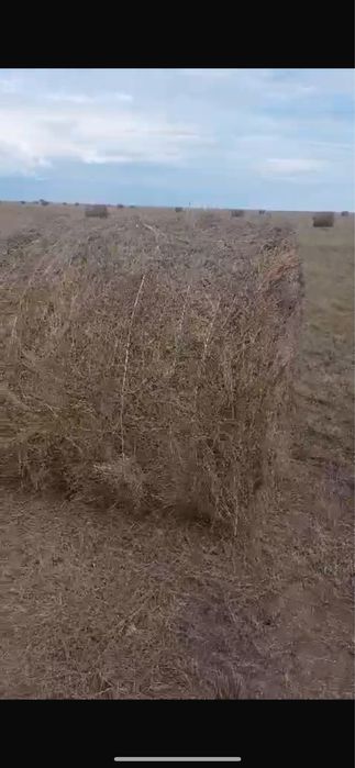 Сено в рулонах,тюках
