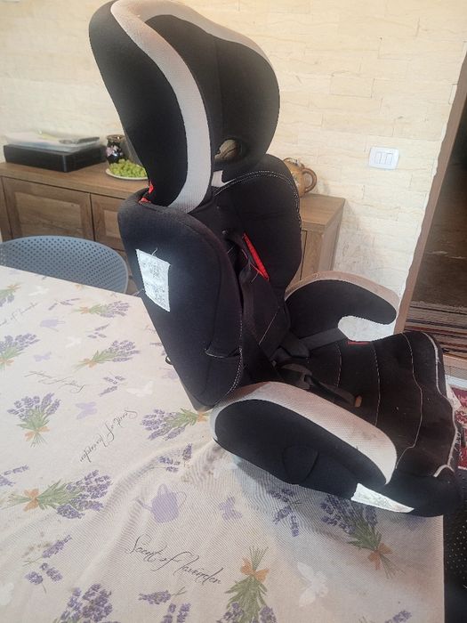 2 Scaune auto          .