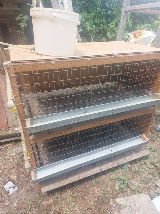 Брудер для цыплят