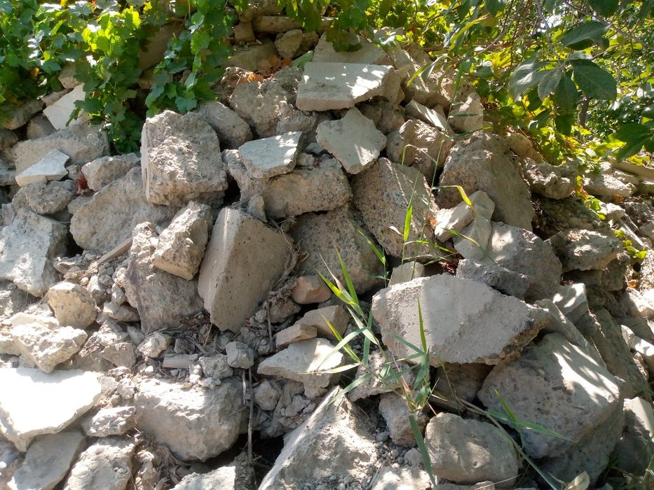 Biton boʻlaklari sotiladi