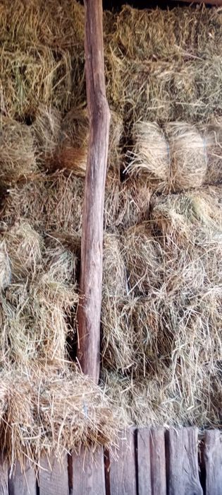 Baloți de fân 2025